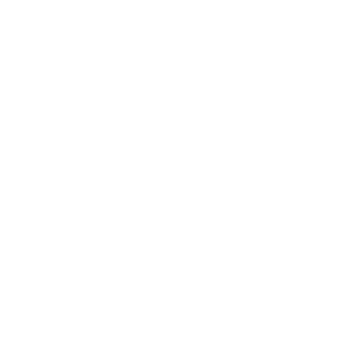 feature-item-2