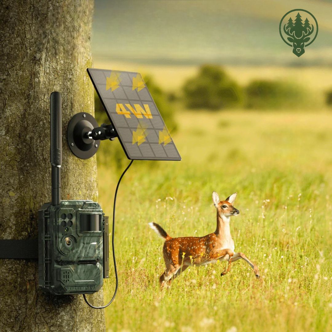 Caméra de chasse cellulaire 4G OC-C02 – Vision nocturne couleur · Streaming en direct