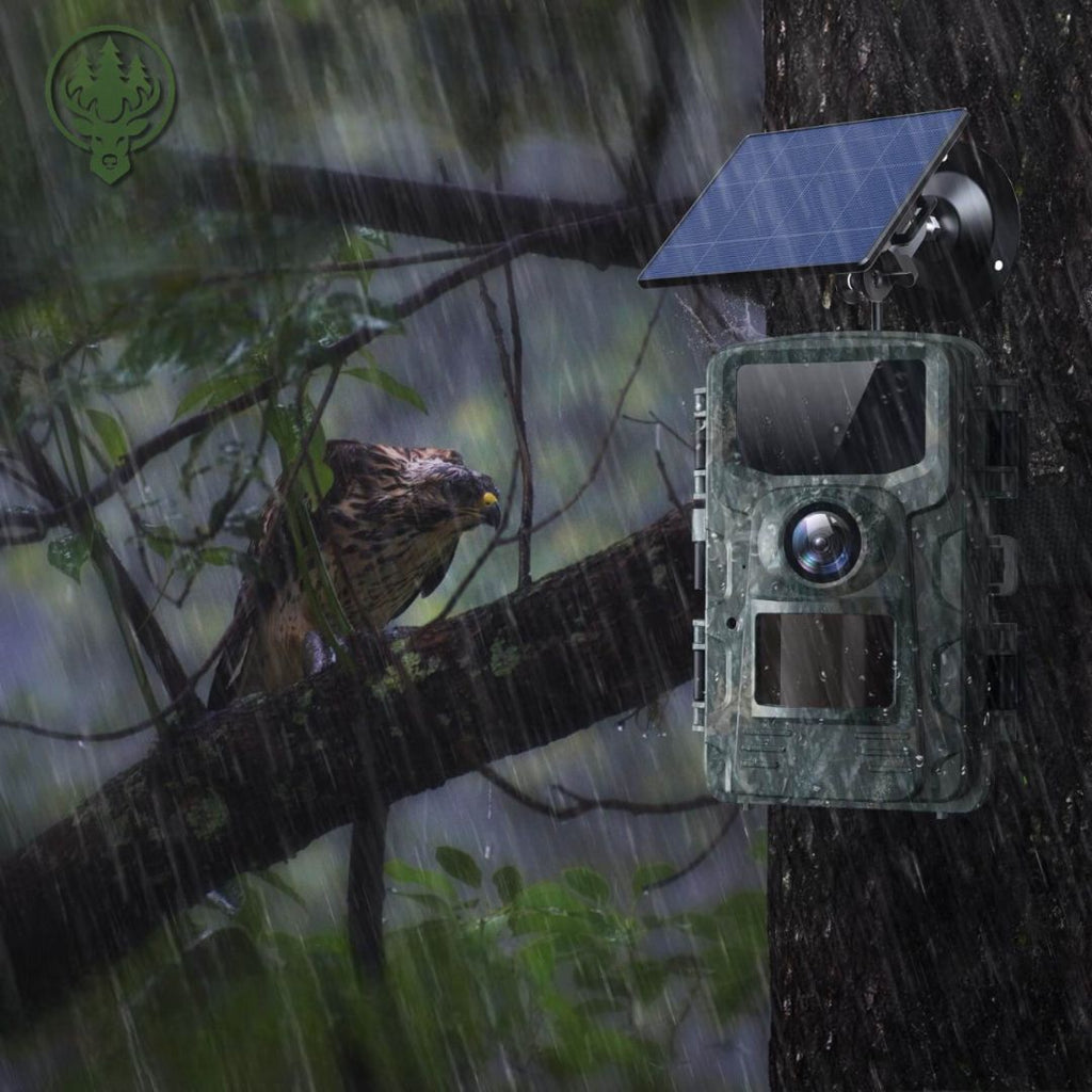Caméra de chasse solaire 4K OC-C10 – Vision nocturne · Pour jardin et extérieur
