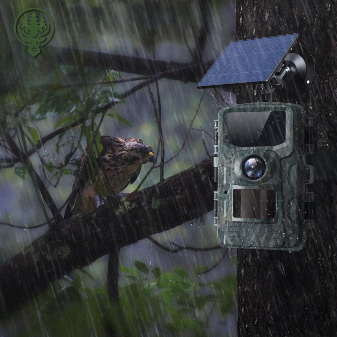 Caméra de chasse solaire 4K OC-C10 – Vision nocturne · Pour jardin et extérieur