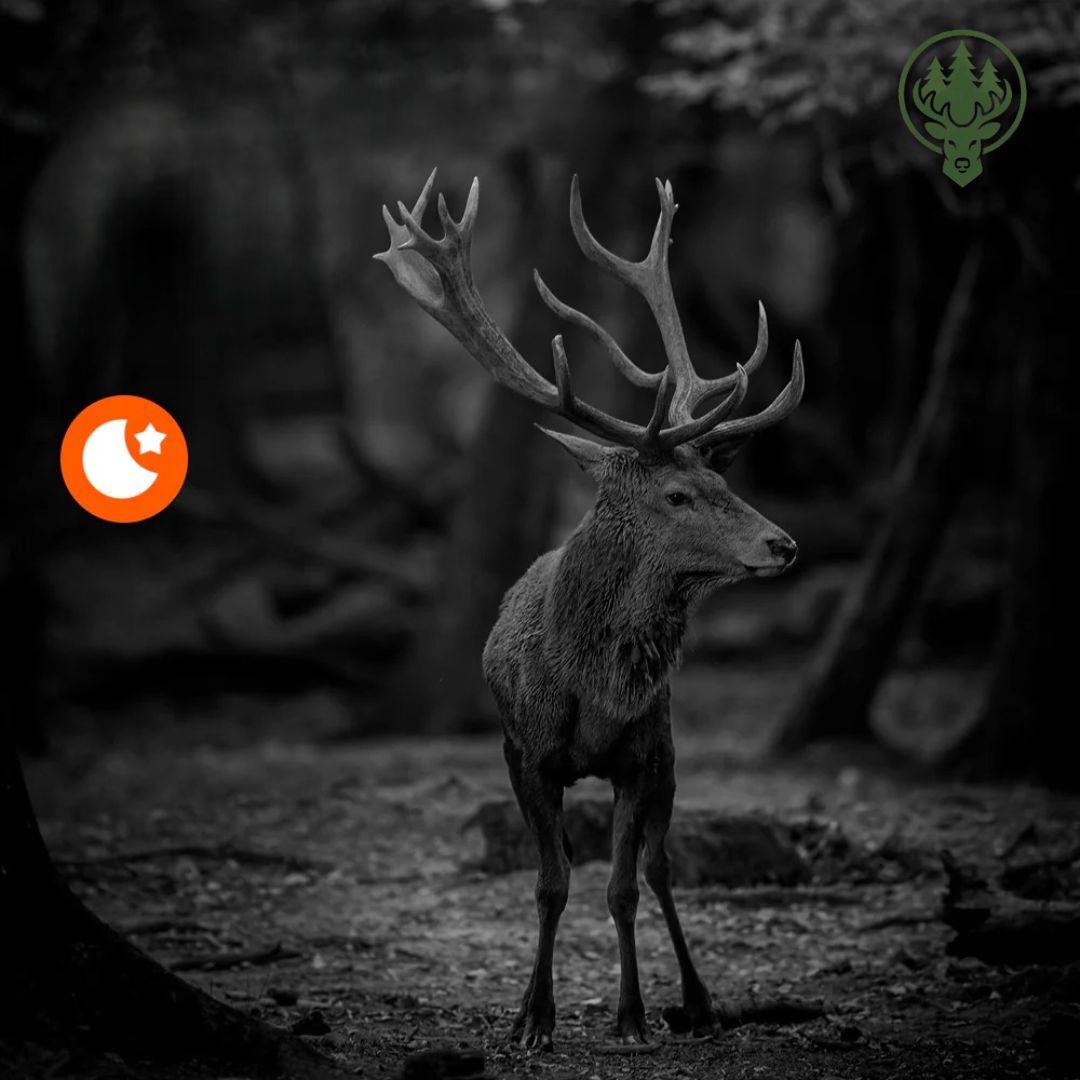 Caméra de chasse mini OC-C20 · 24MP · Vision nocturne HD · Format compact