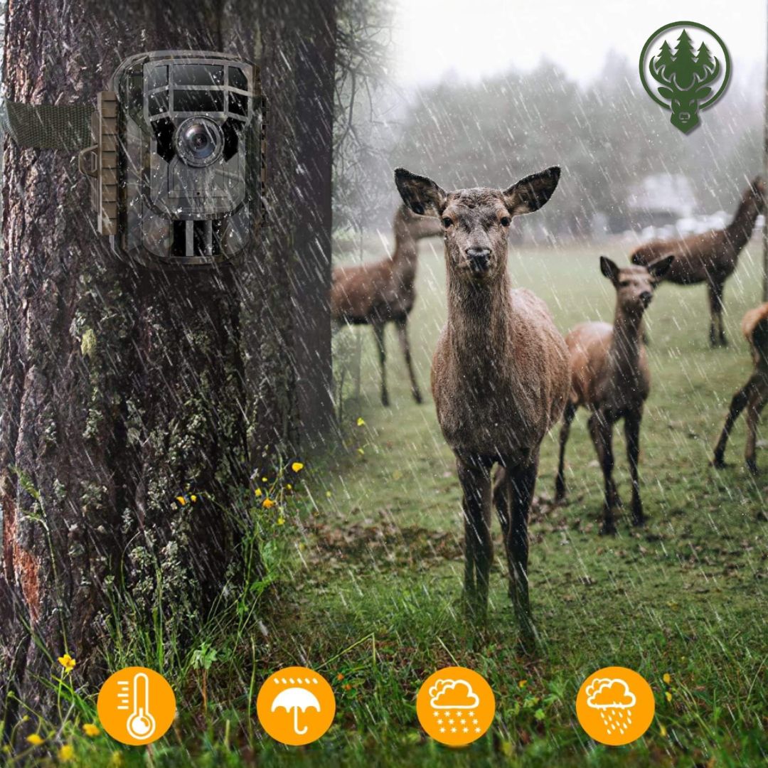 Caméra de chasse extérieure OC-C21 – 2K HD · Mini format · Sans réseau cellulaire