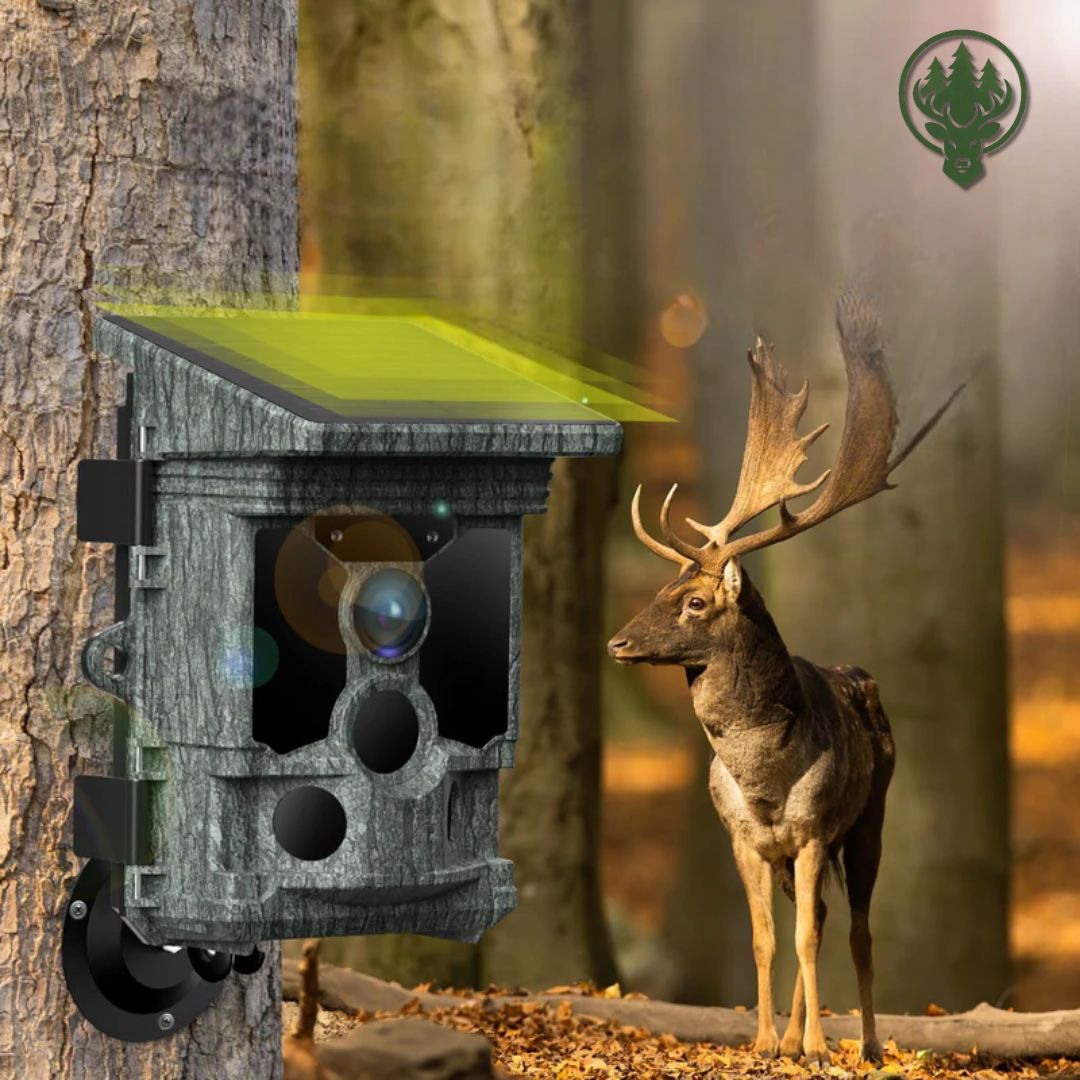 Caméra de chasse 4K solaire Wi-Fi OC-C22 – Déclenchement 0,1s · 100MP · Vision nocturne
