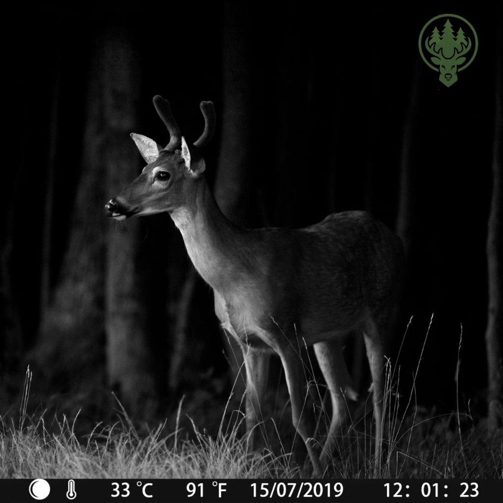 Caméra de chasse 4K OC-C26 – Wi-Fi + Bluetooth · 24MP · Vision nocturne discrète