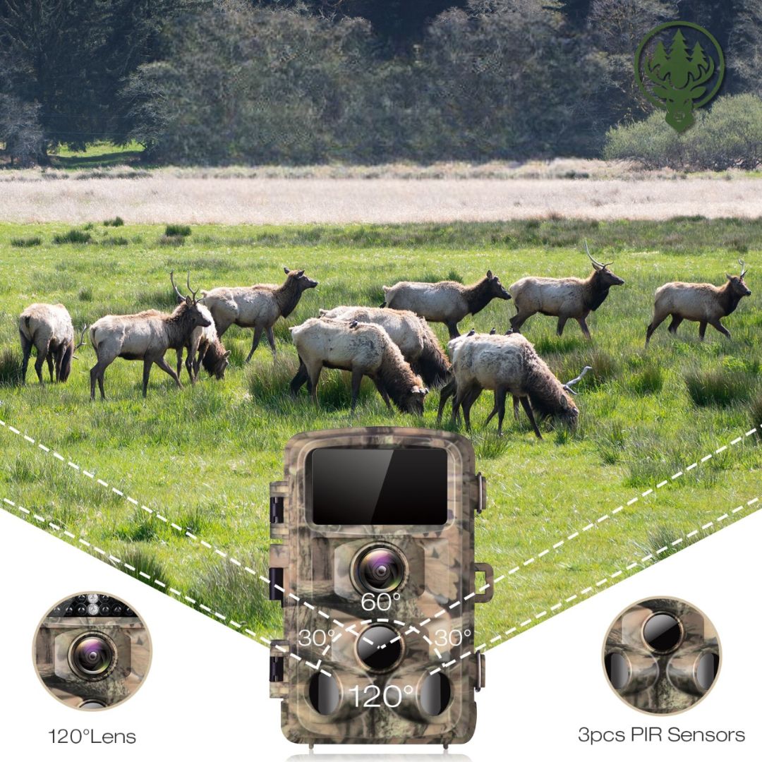 Caméra de chasse infrarouge OC-C29 – 16MP · 1080p · Vision nocturne · Étanche