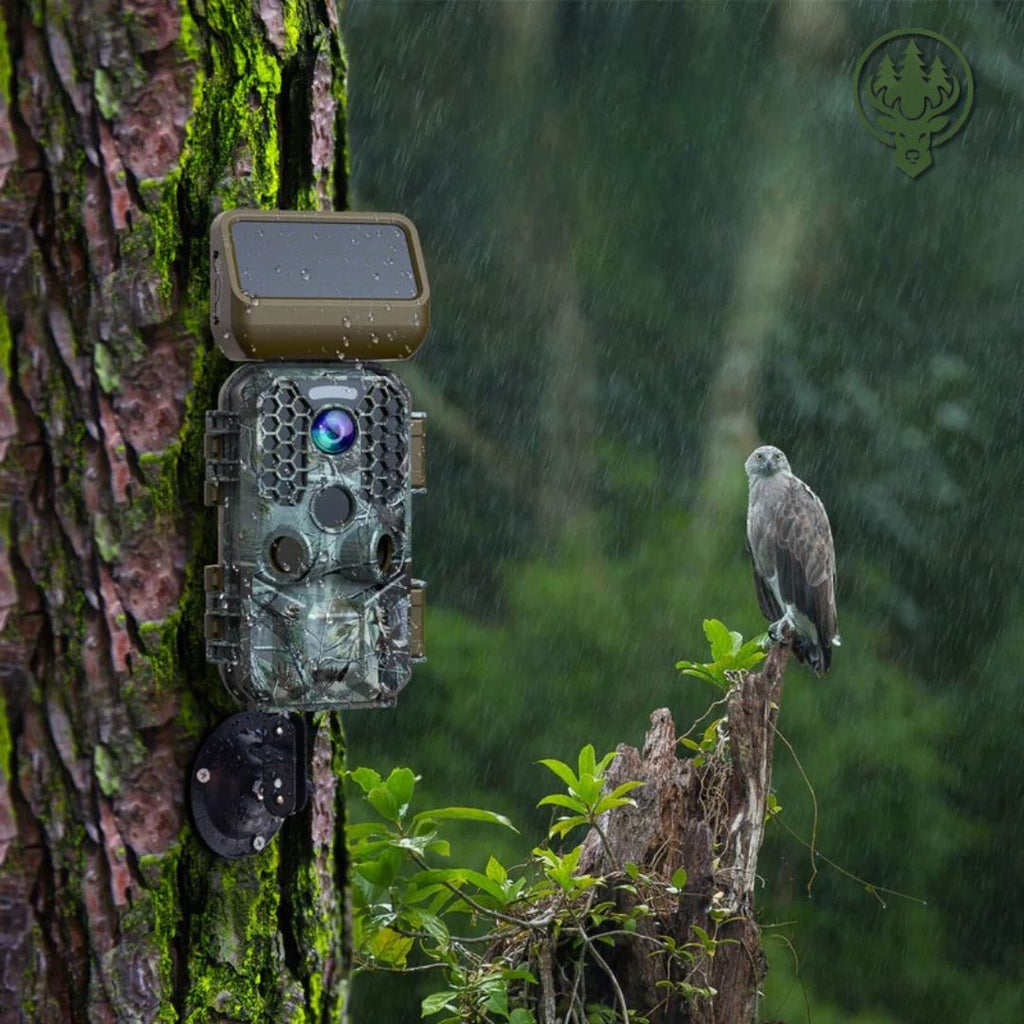 Caméra de chasse solaire Wi-Fi OC-C31 – 4K · Vision nocturne · Idéale faune sauvage