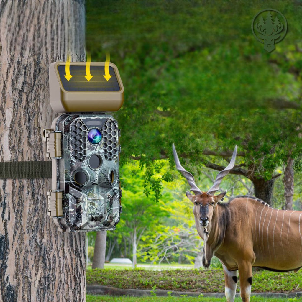 Caméra de chasse solaire Wi-Fi OC-C31 – 4K · Vision nocturne · Idéale faune sauvage