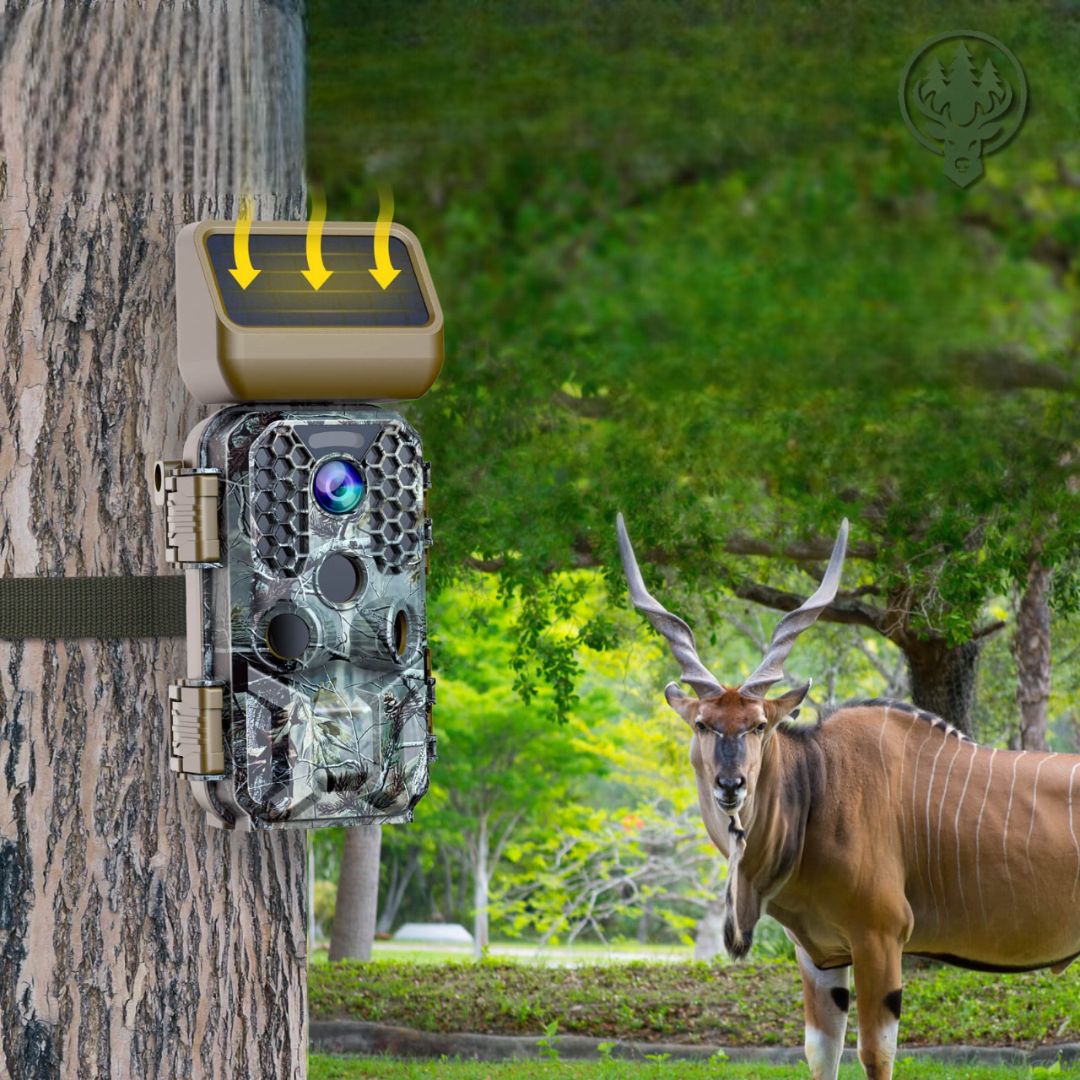 Caméra de chasse solaire Wi-Fi OC-C31 – 4K · Vision nocturne · Idéale faune sauvage